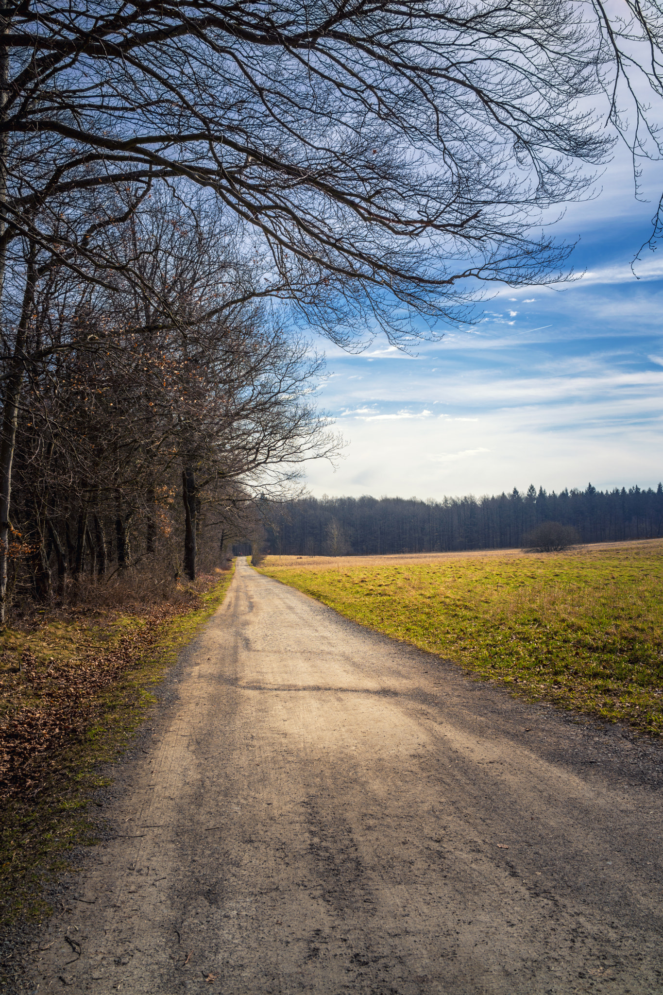 Sony Cyber-shot DSC-RX1 sample photo. Beautiful nature landscape view in spring photography