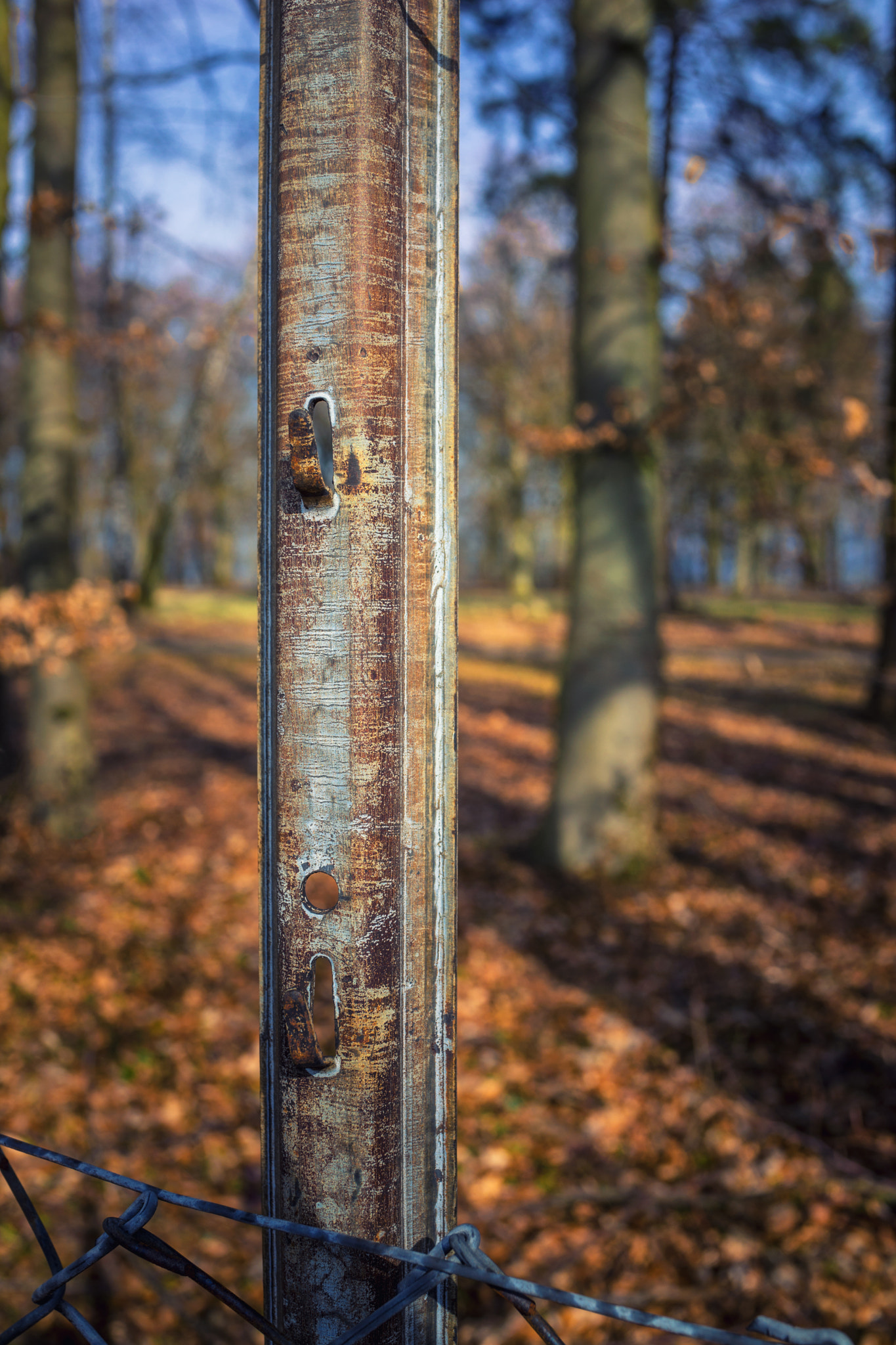 Sony Cyber-shot DSC-RX1 sample photo. Blurry park view behind a fence iron rack photography