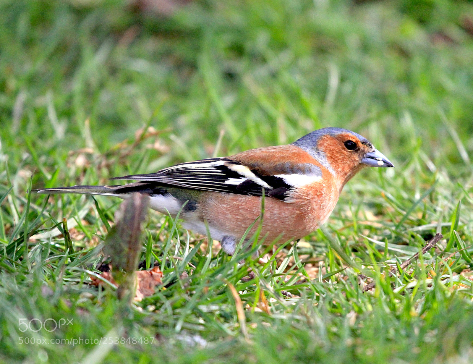 Canon EOS 7D sample photo. :) photography