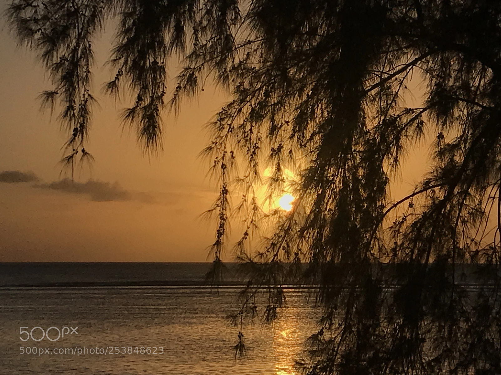 Apple iPhone 7 sample photo. The old sunset! photography