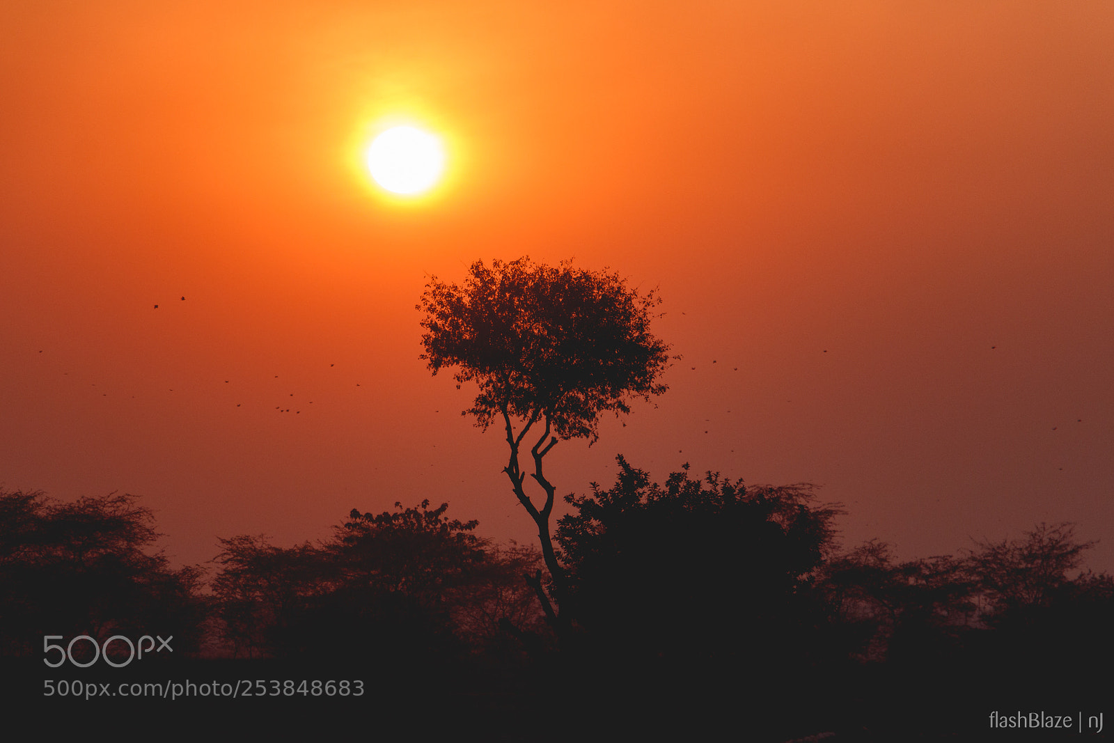 Canon EOS 70D sample photo. Sunset photography