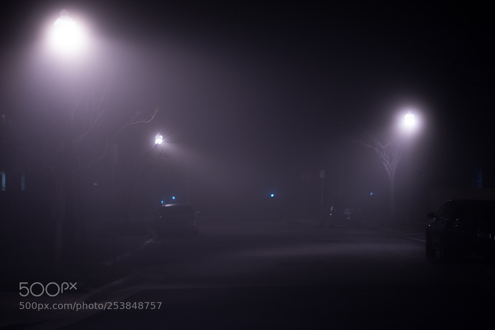 Nikon D810 sample photo. Foggy lights photography