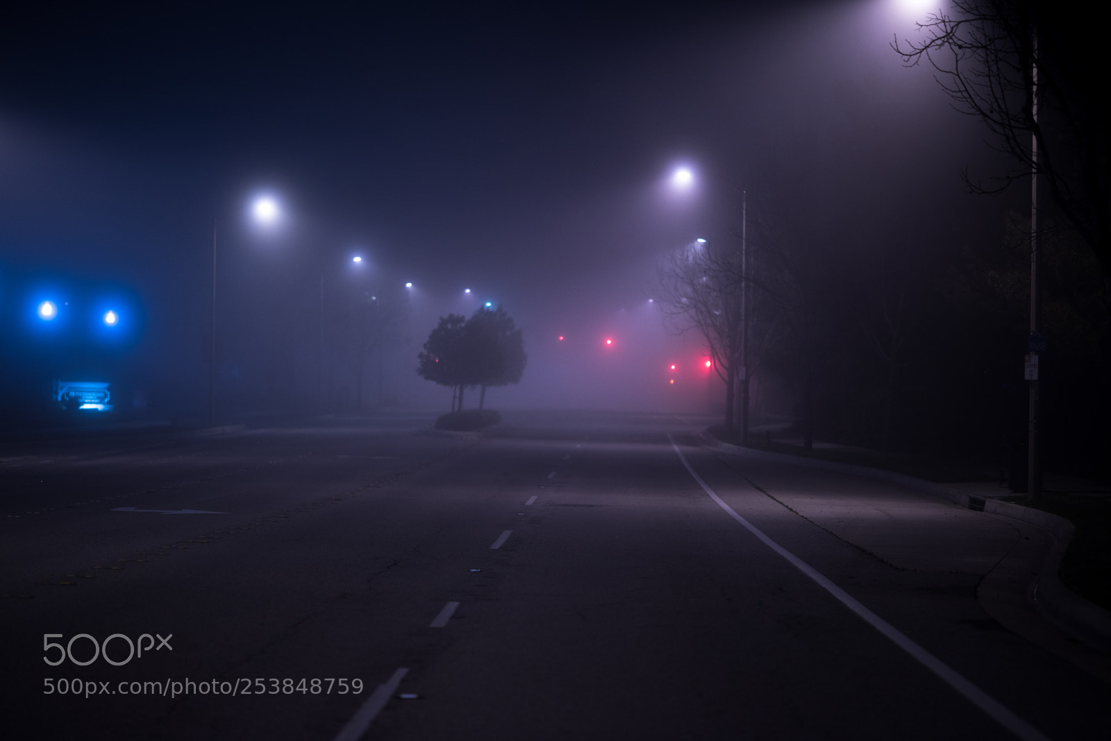 Nikon D810 sample photo. Foggy lights photography