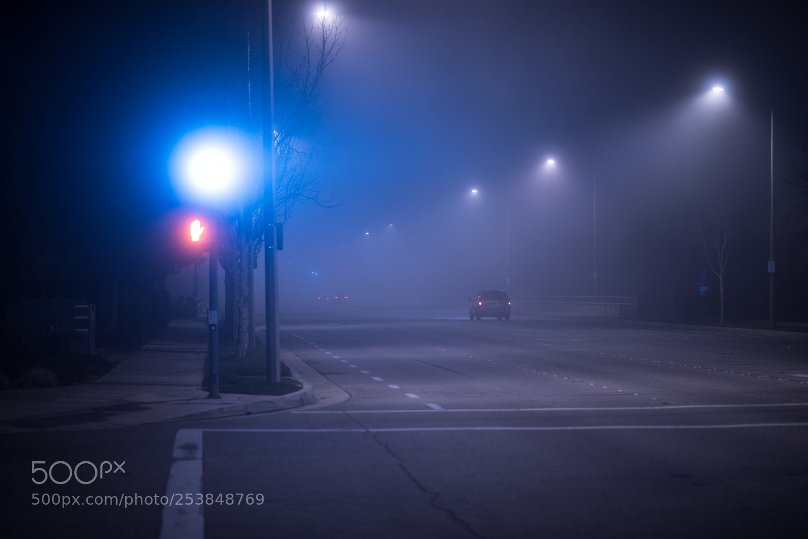 Nikon D810 sample photo. Foggy lights photography