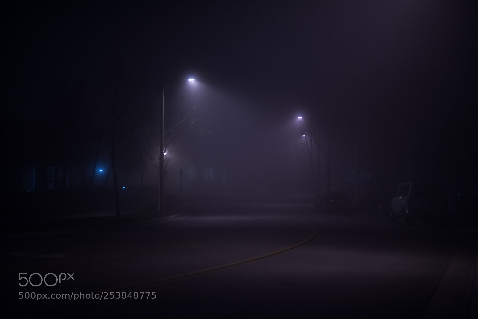 Nikon D810 sample photo. Foggy lights photography