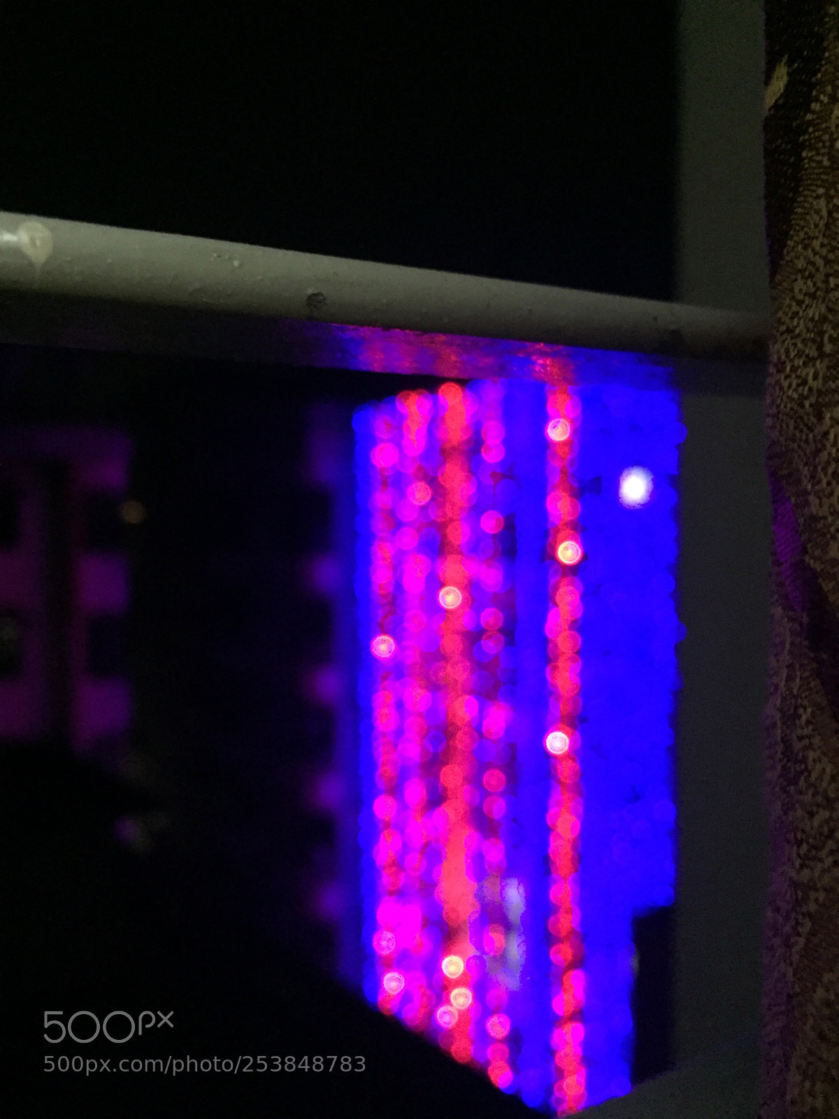 Apple iPhone 6 sample photo. Wedding vibe photography
