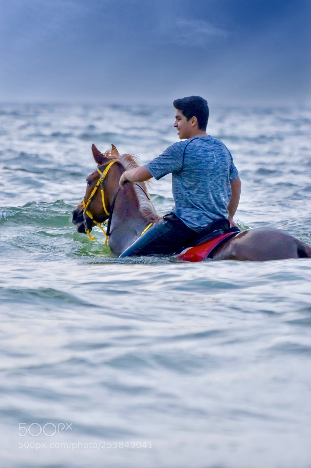 Nikon D5600 sample photo. Untitled photography