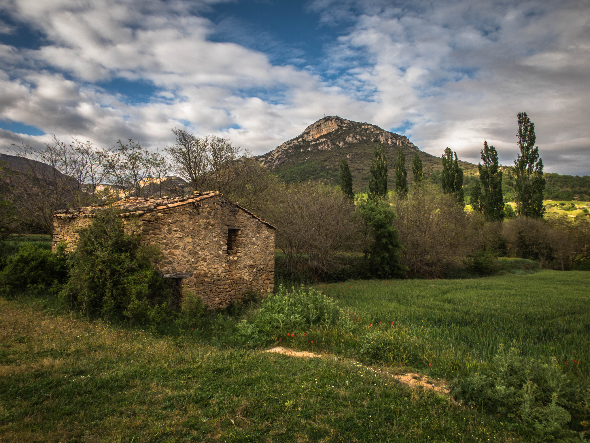 Canon PowerShot S120 sample photo. Montsec, cogullo photography