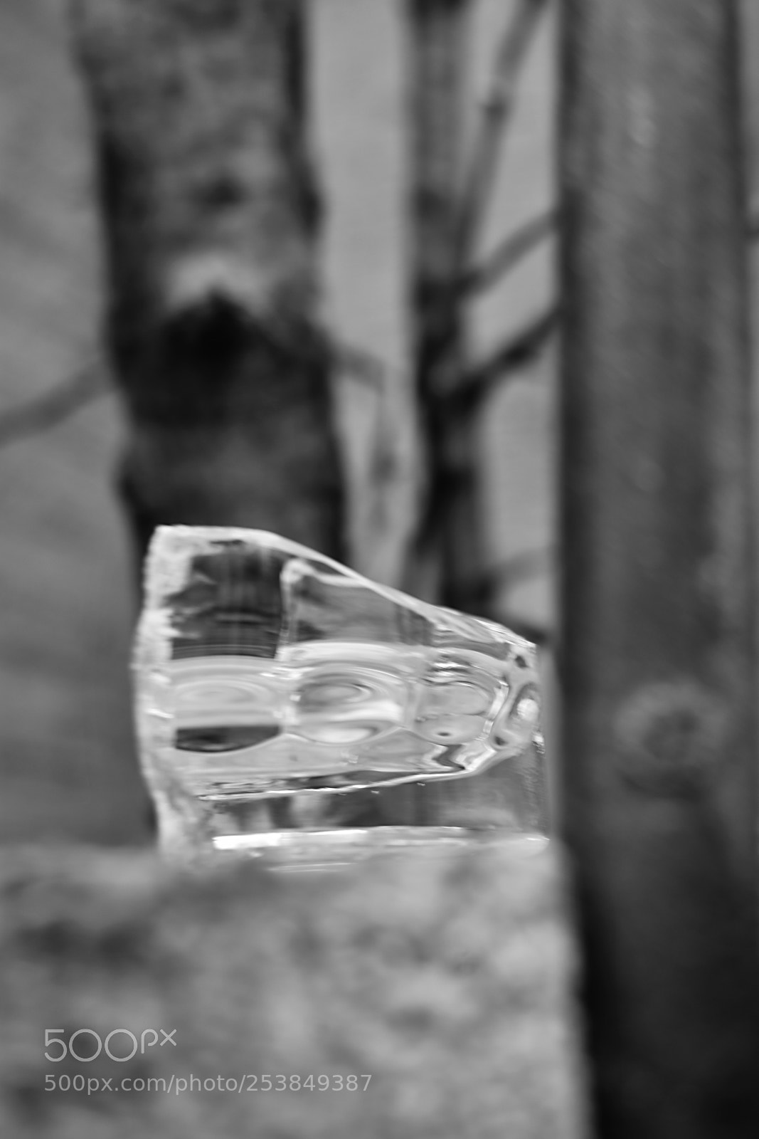 Nikon D3400 sample photo. Pieces photography