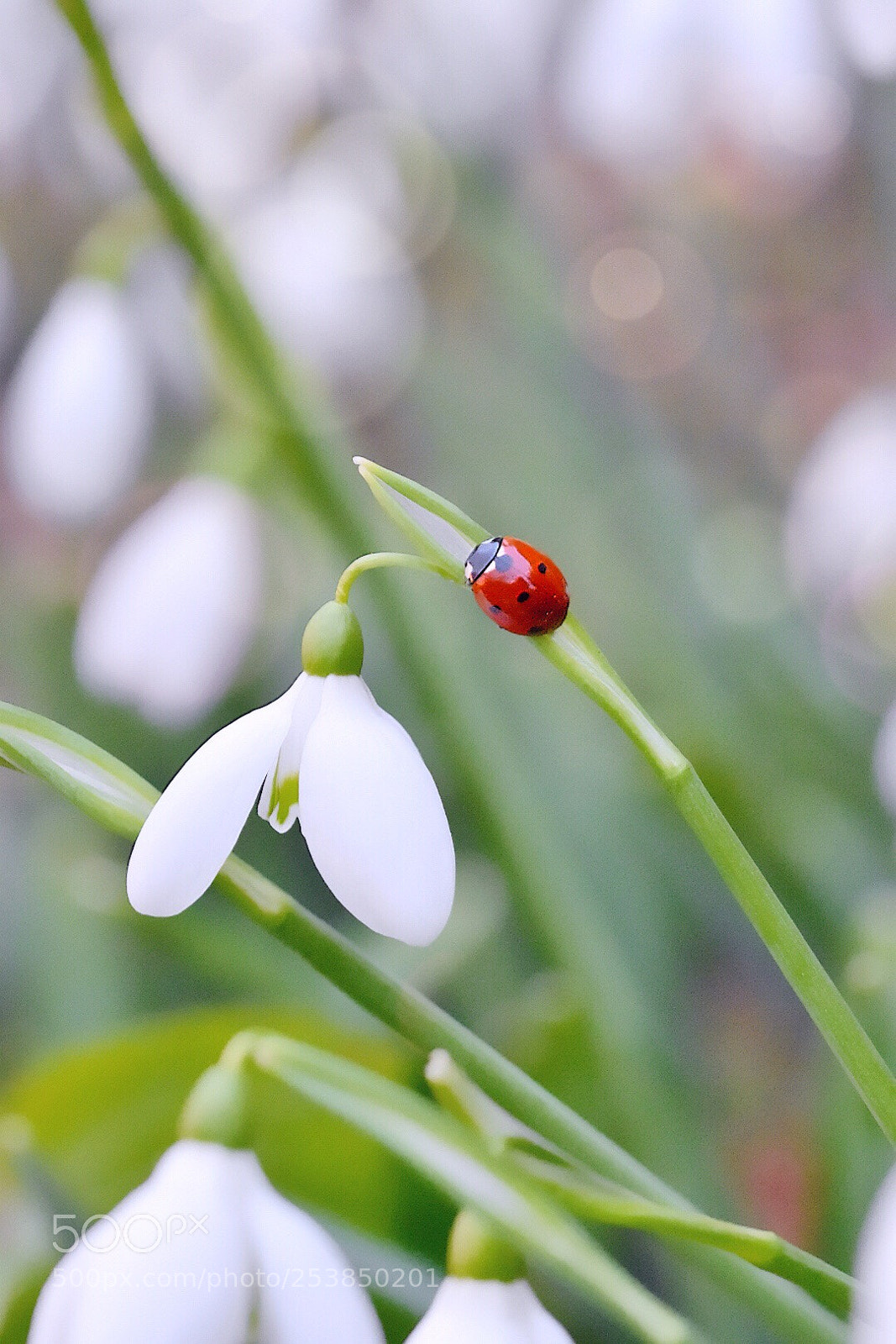 Nikon D5600 sample photo. Untitled photography
