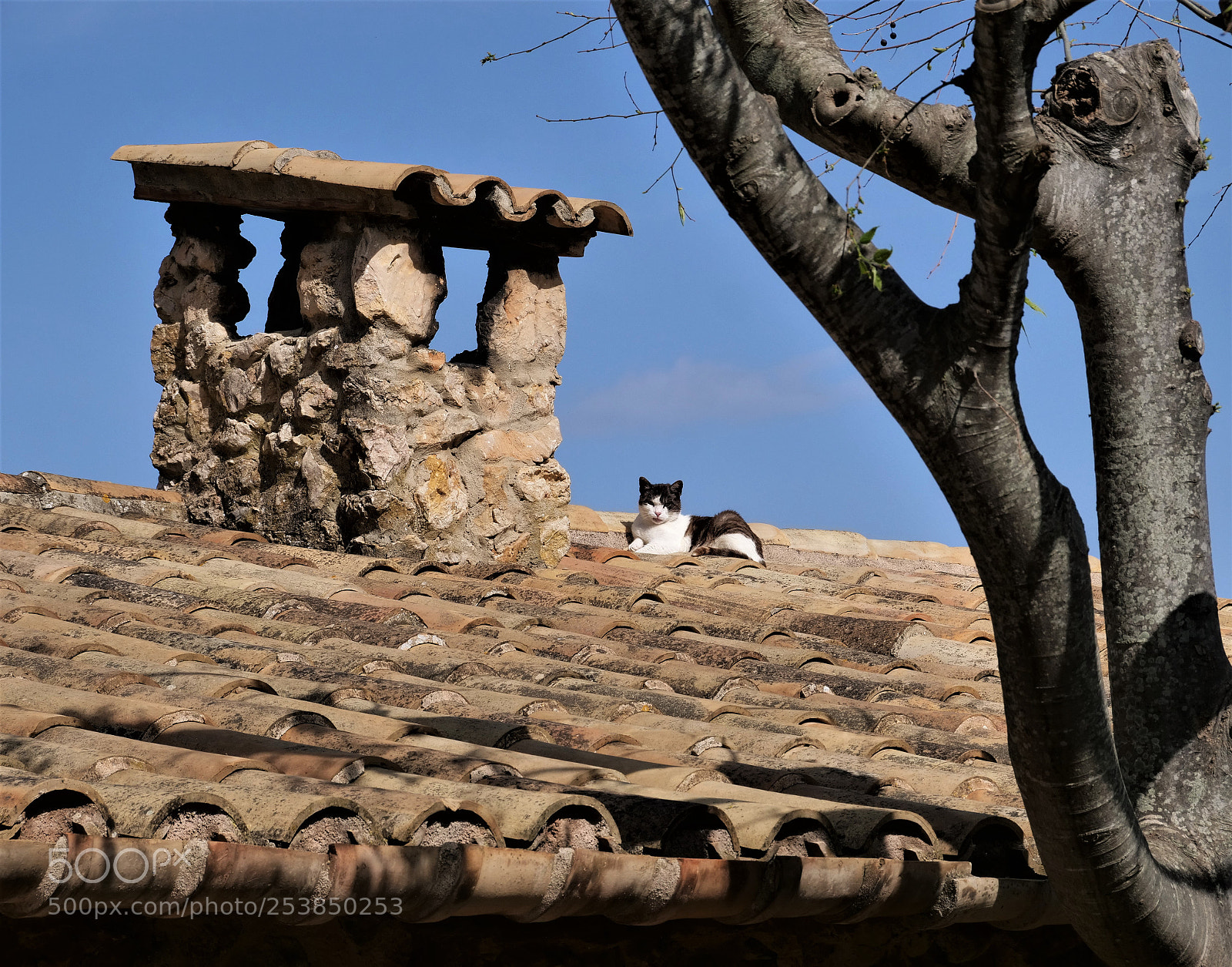 Panasonic Lumix DC-GH5 sample photo. On the roofs of photography