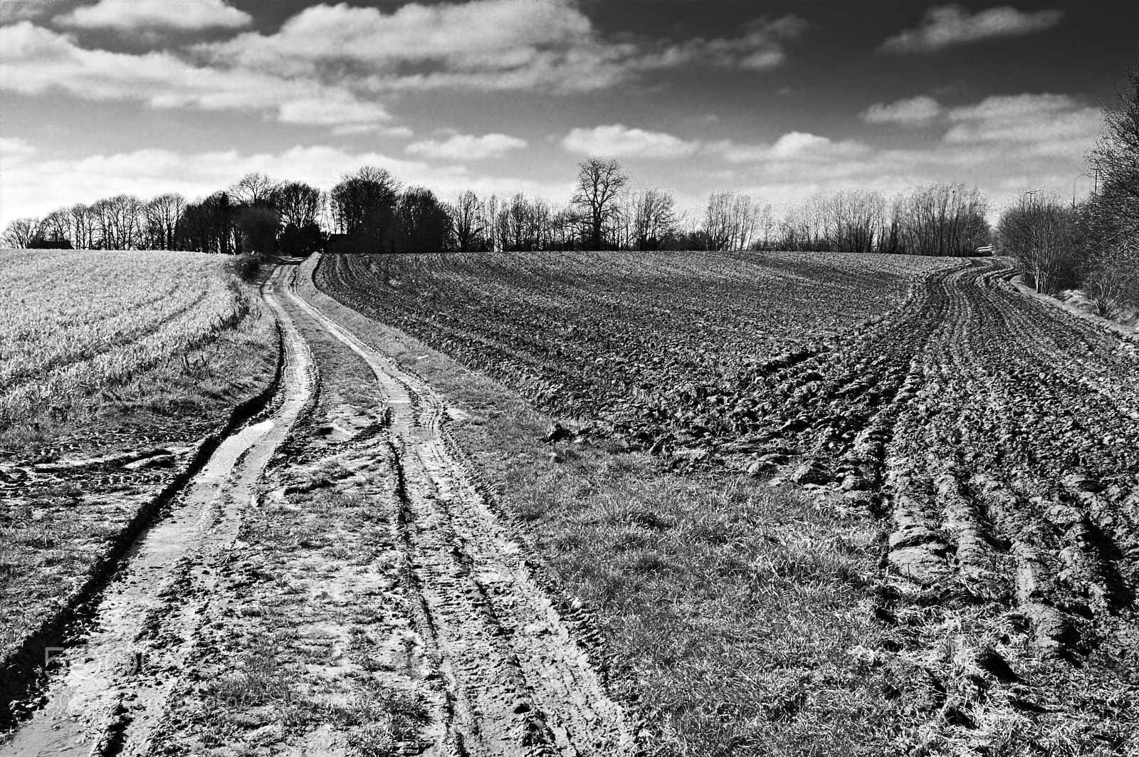 Nikon D3200 sample photo. Countryside lines photography