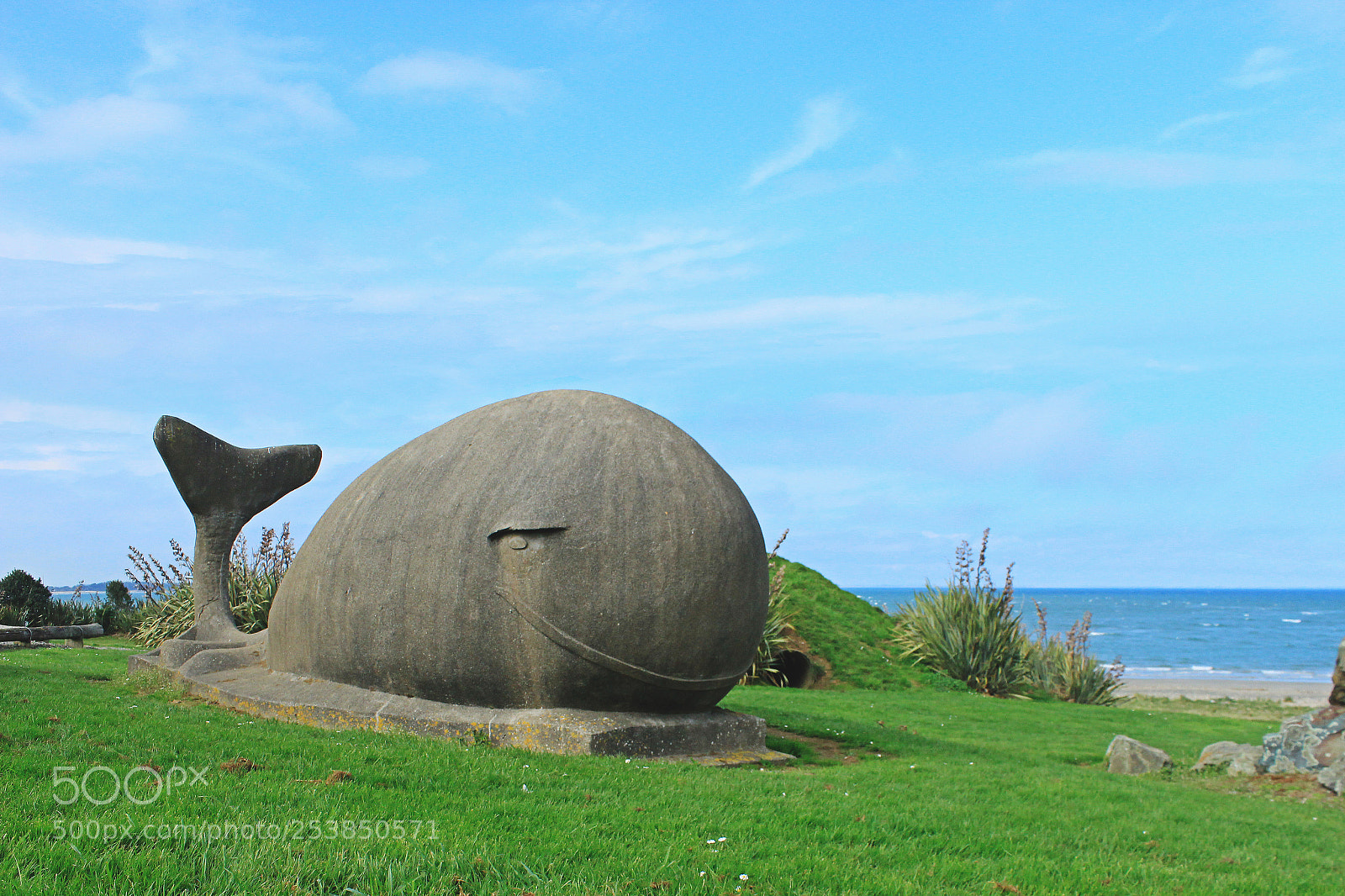 Canon EOS 600D (Rebel EOS T3i / EOS Kiss X5) sample photo. Happy whale on the photography