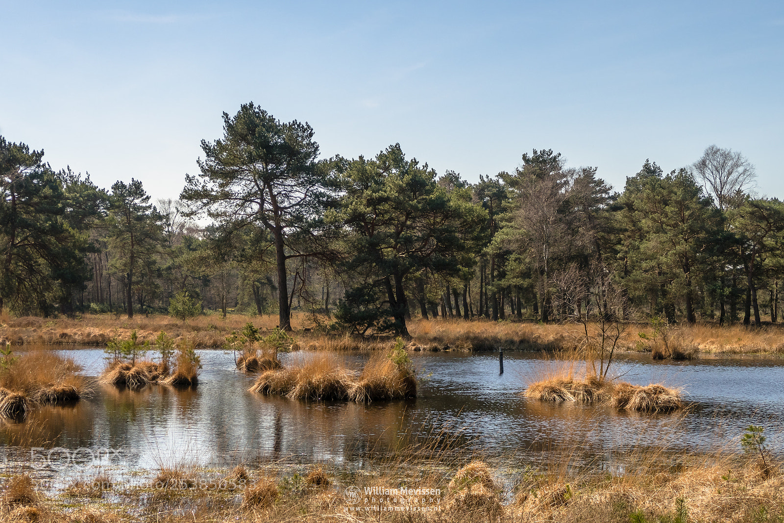 Canon PowerShot G7 X Mark II sample photo. Sunny ravenvennen photography