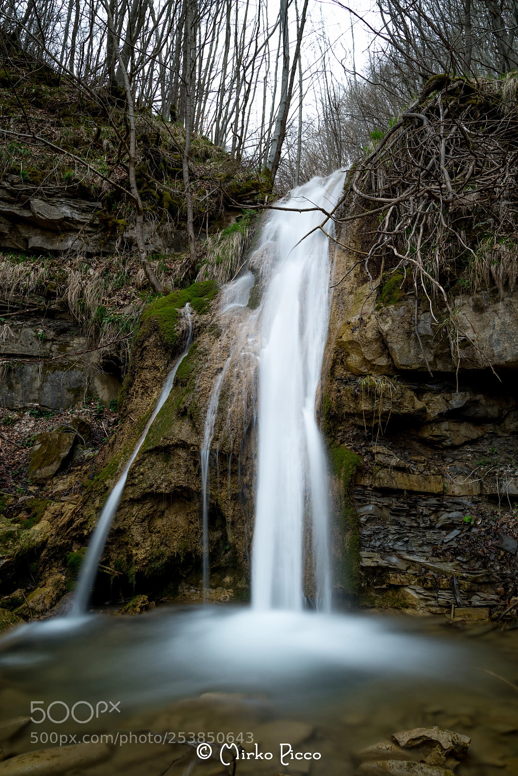 Nikon D610 sample photo. Water life photography