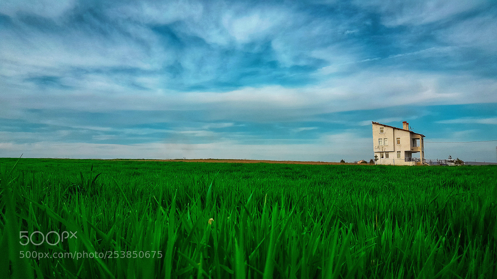 Samsung Galaxy Note5 sample photo. Grasslands.. photography
