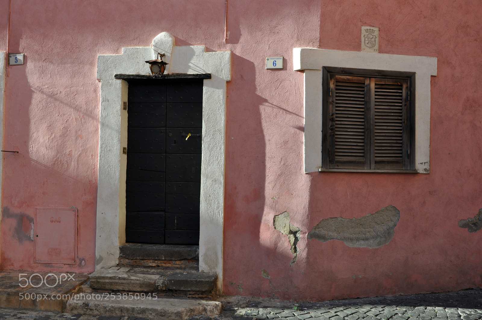 Nikon D5000 sample photo. Pink photography