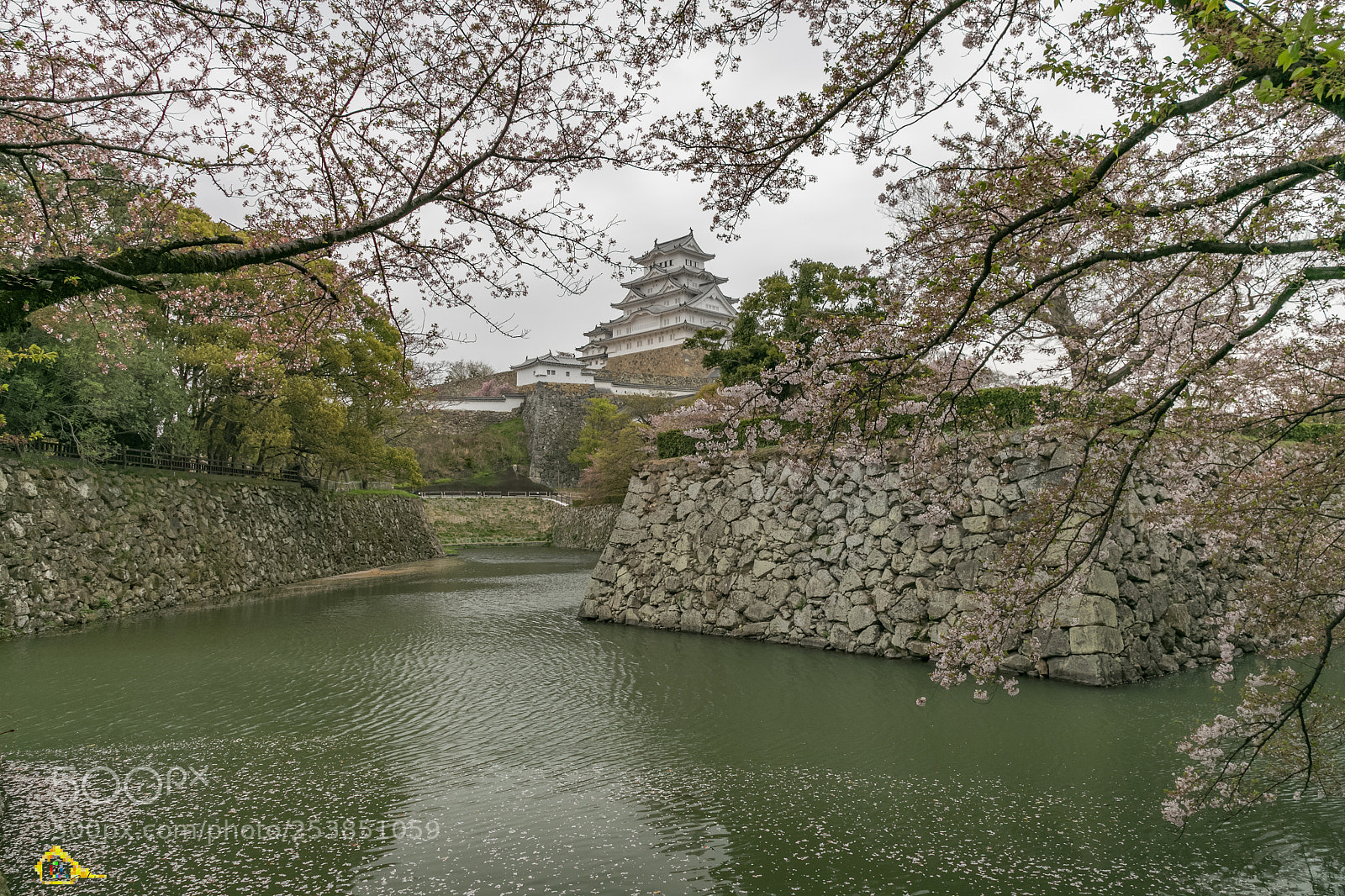 Canon EOS 5D Mark IV sample photo. 這次真的是  激怒城了 photography