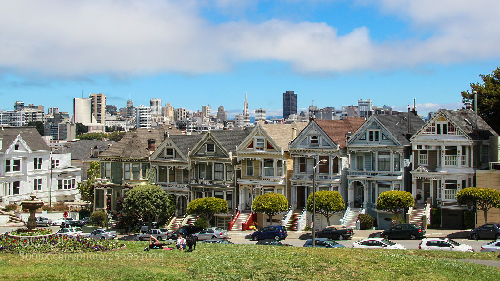 Canon EOS 600D (Rebel EOS T3i / EOS Kiss X5) sample photo. Painted ladies photography
