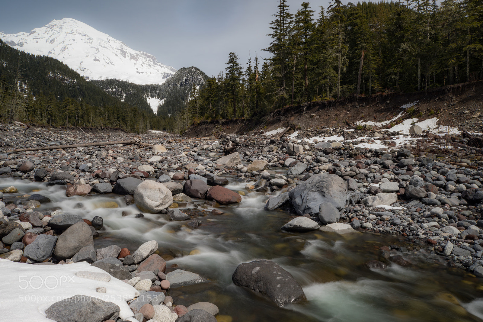 Canon EOS 5D Mark IV sample photo. Mt rainier national park photography