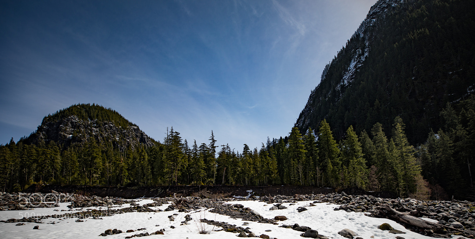 Canon EOS 5D Mark IV sample photo. Mt rainier national park photography