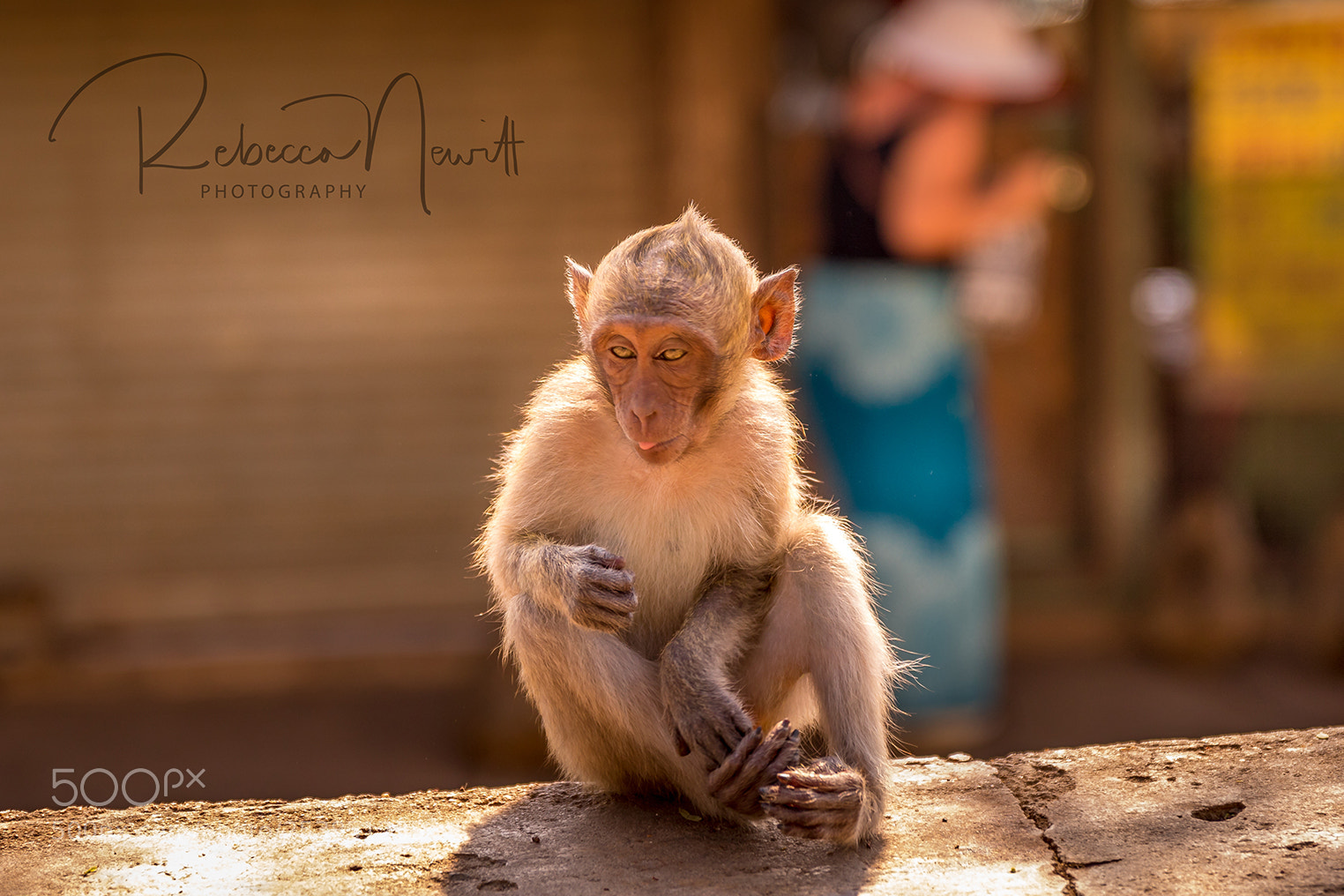 Canon EOS 7D Mark II sample photo. Thailand photography