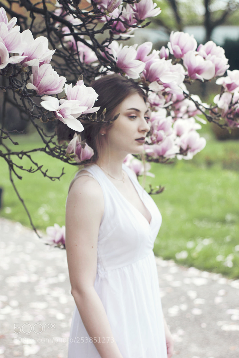 Nikon D80 sample photo. Blossom photography