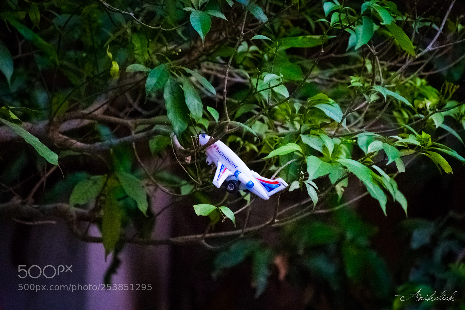 Nikon D7200 sample photo. Crash landing photography