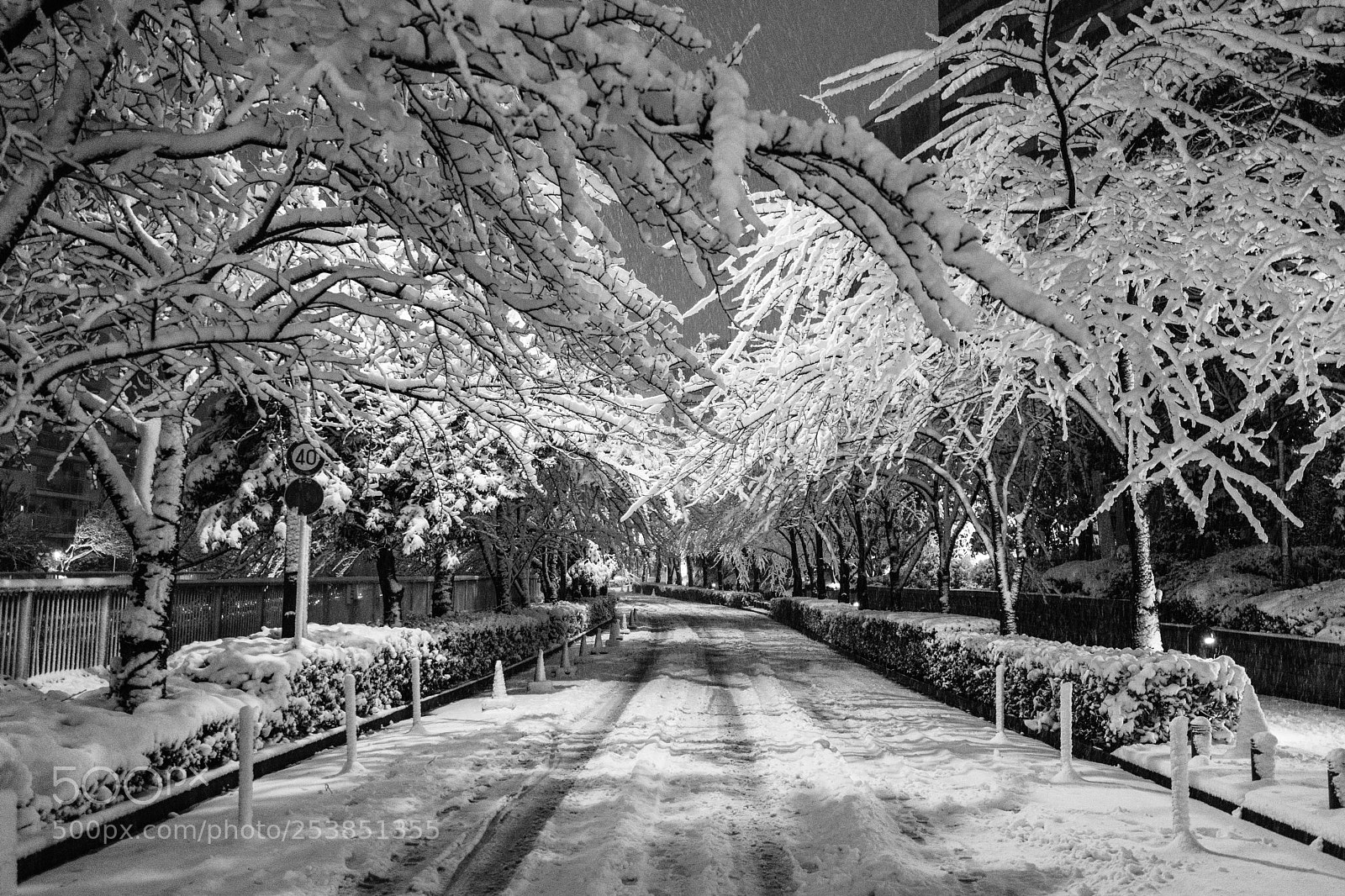 Sony a7 II sample photo. Midnight snow photography