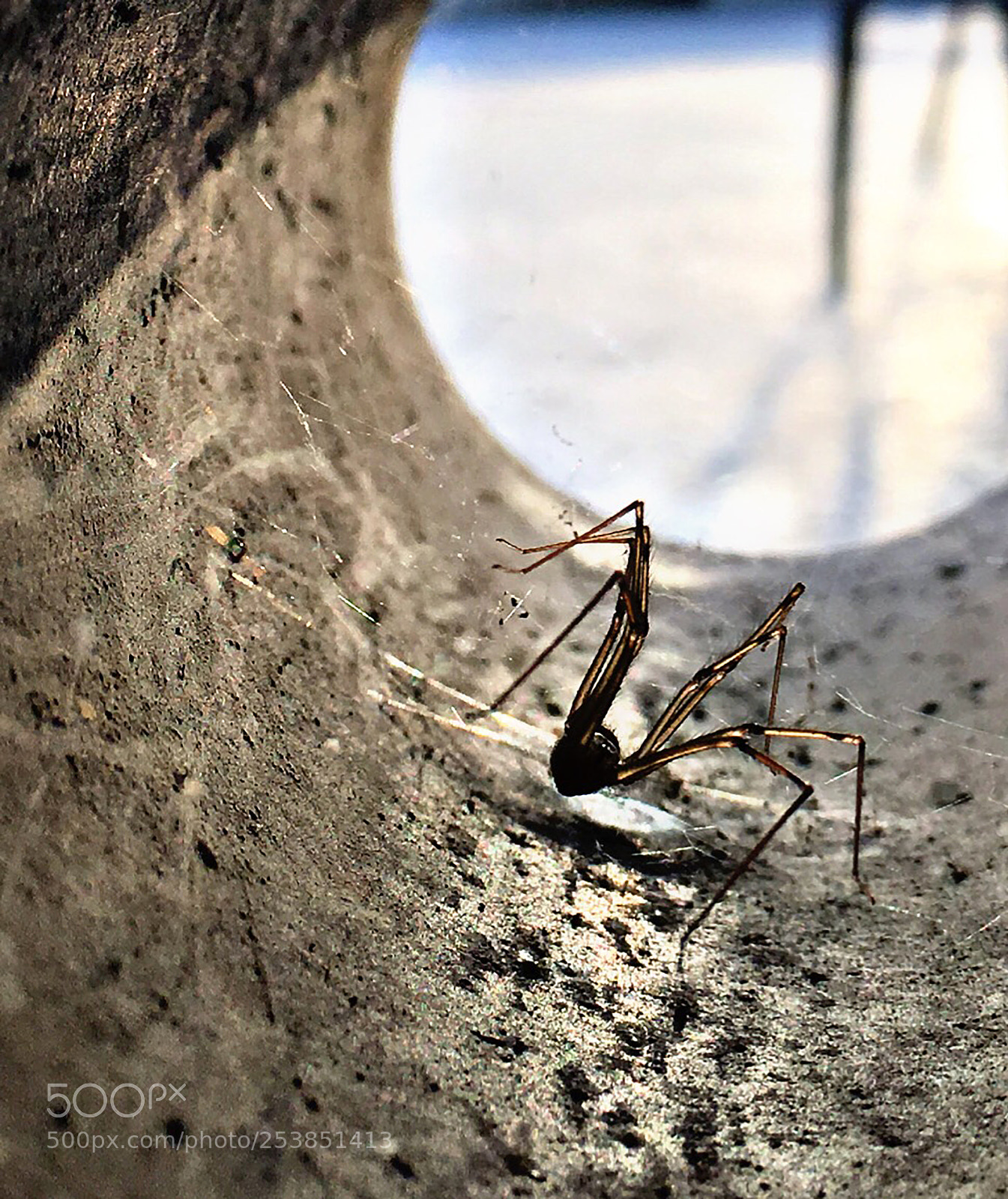Apple iPhone 6s sample photo. Total effects actions 0 photography