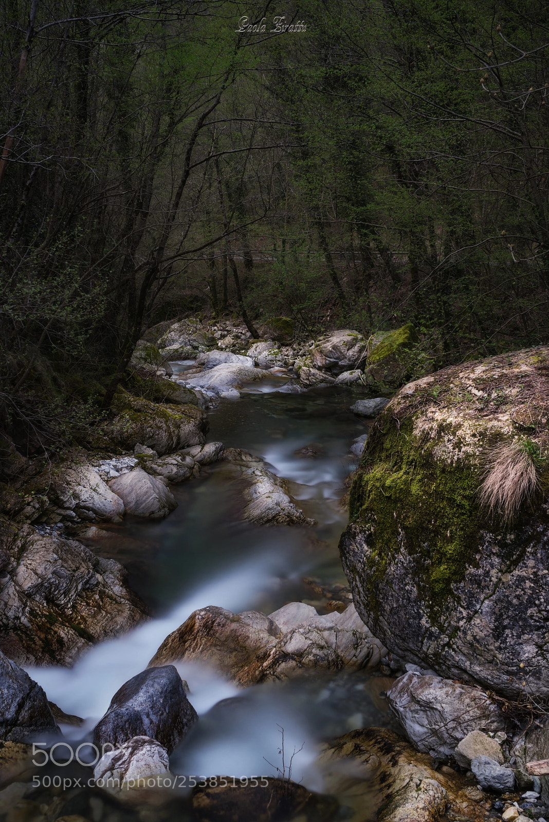 Sony a7 II sample photo. ...andando a vinca.... photography