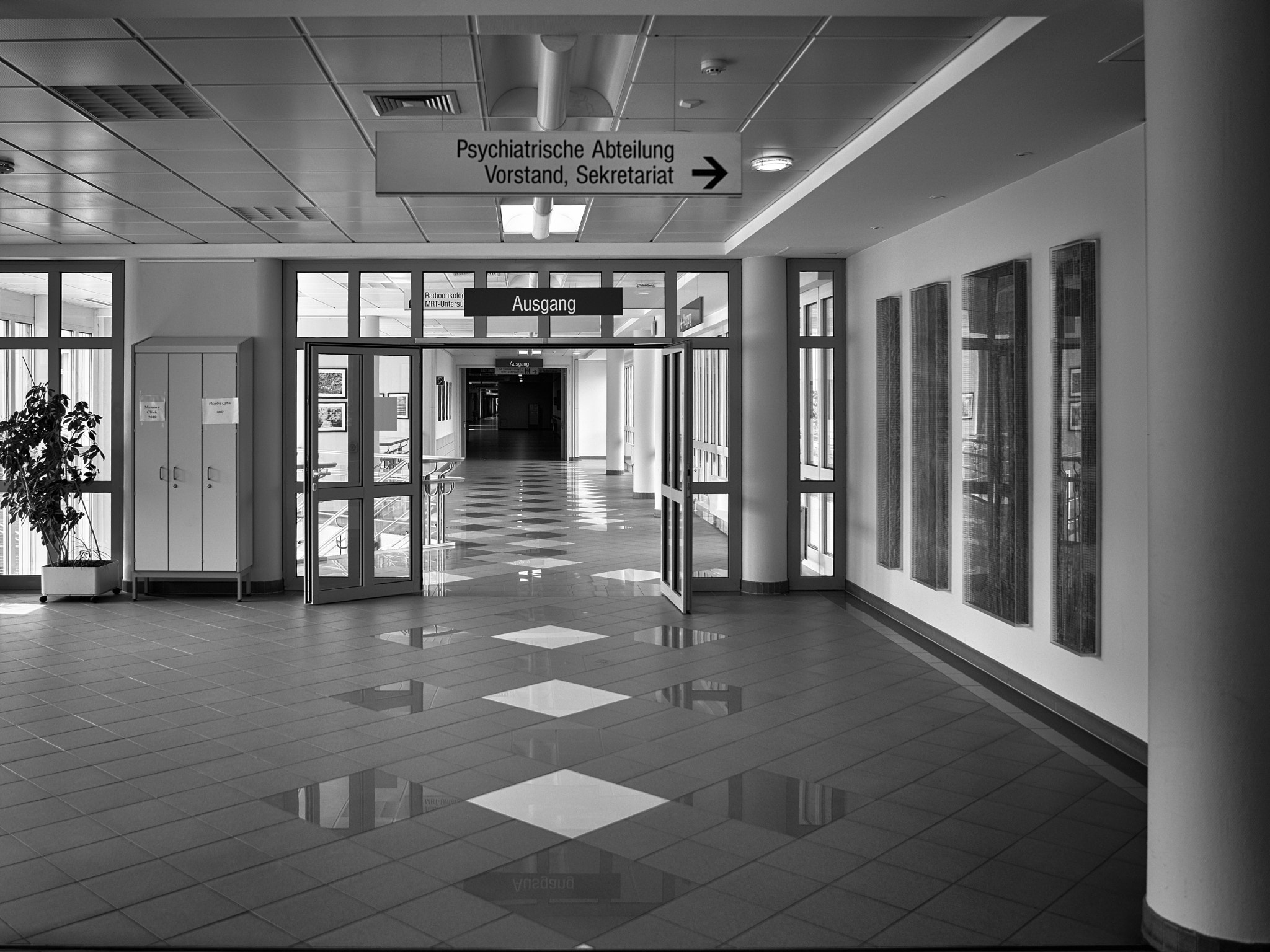 ZEISS Batis 25mm F2 sample photo. 2018_04_15 photography