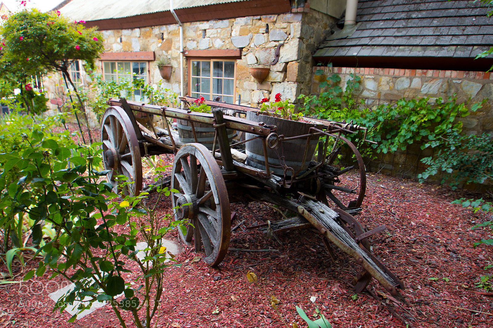Canon EOS 60D sample photo. Wagon photography