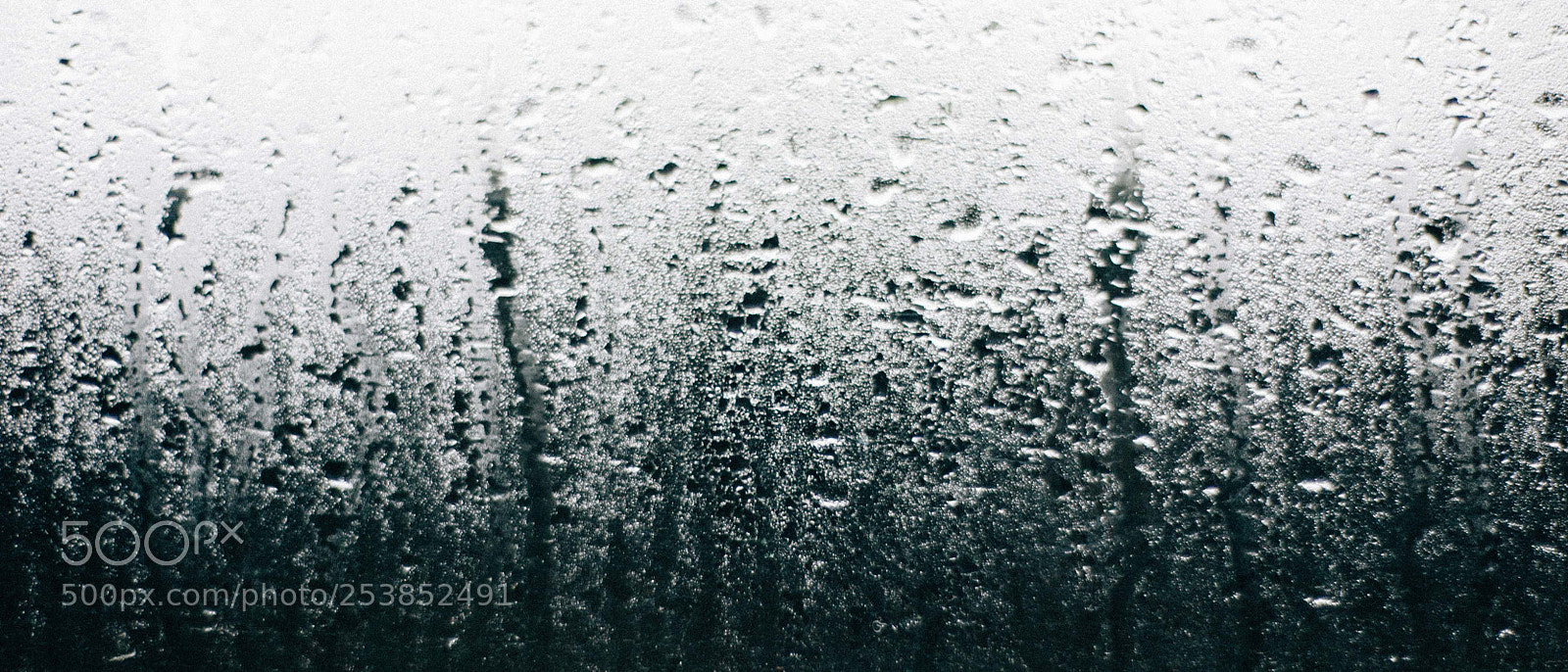 Nikon D700 sample photo. Rain photography
