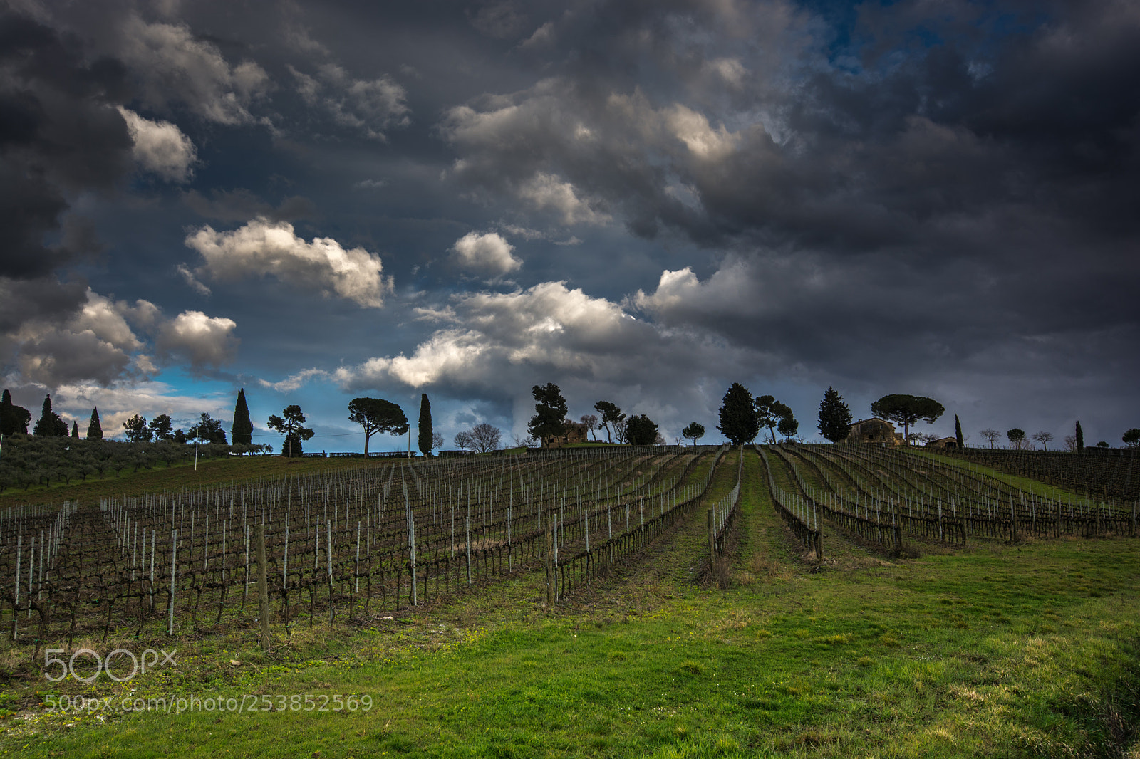 Nikon D7100 sample photo. Campagna umbra 3 photography