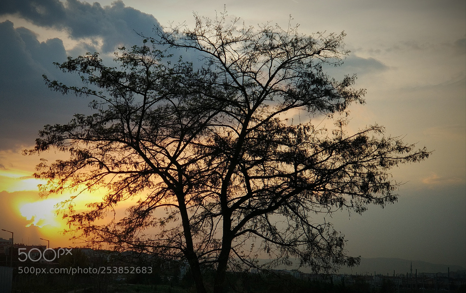 Xiaomi MI6 sample photo. Manzara photography