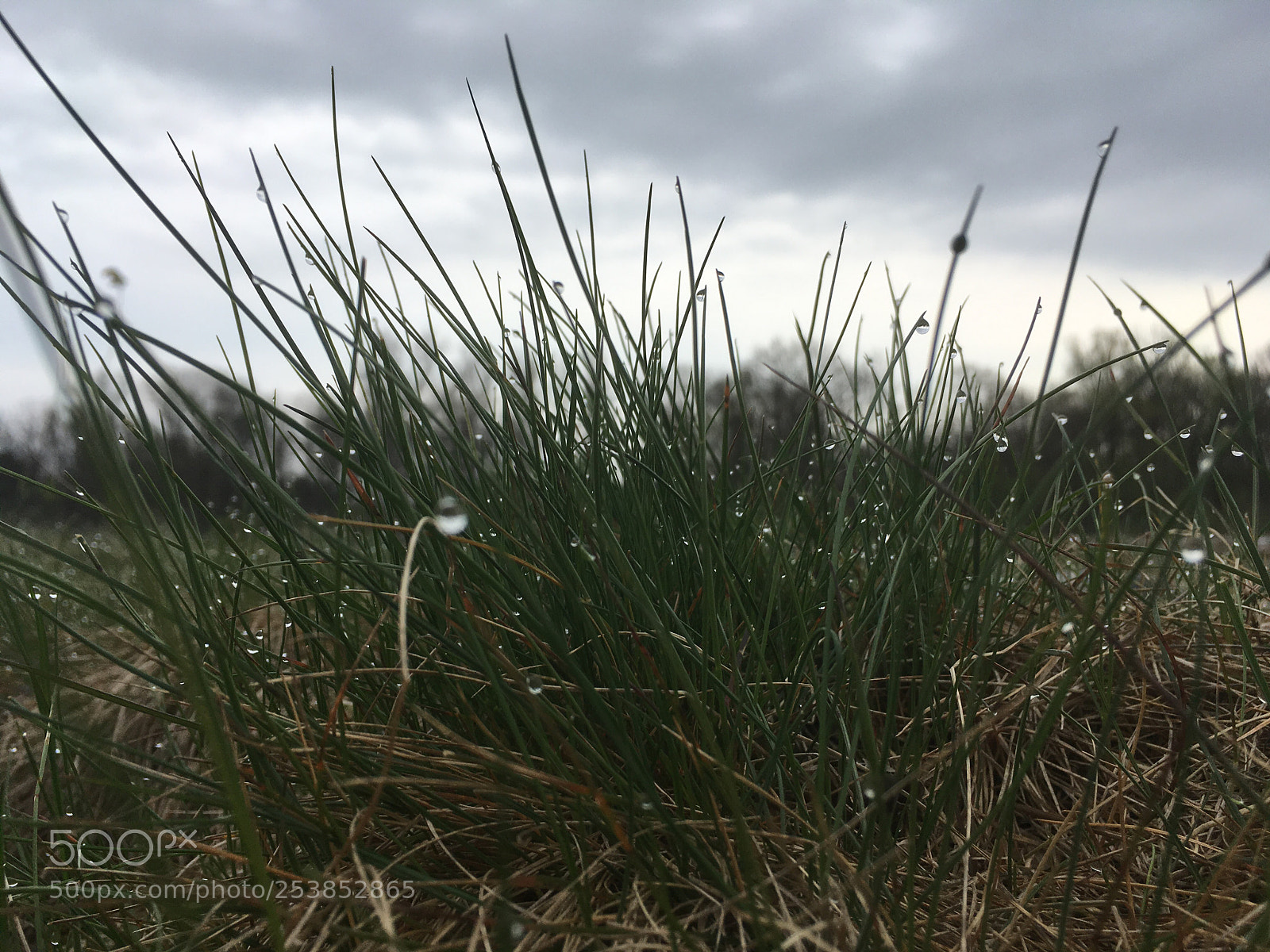 Apple iPhone SE sample photo. Untitled photography