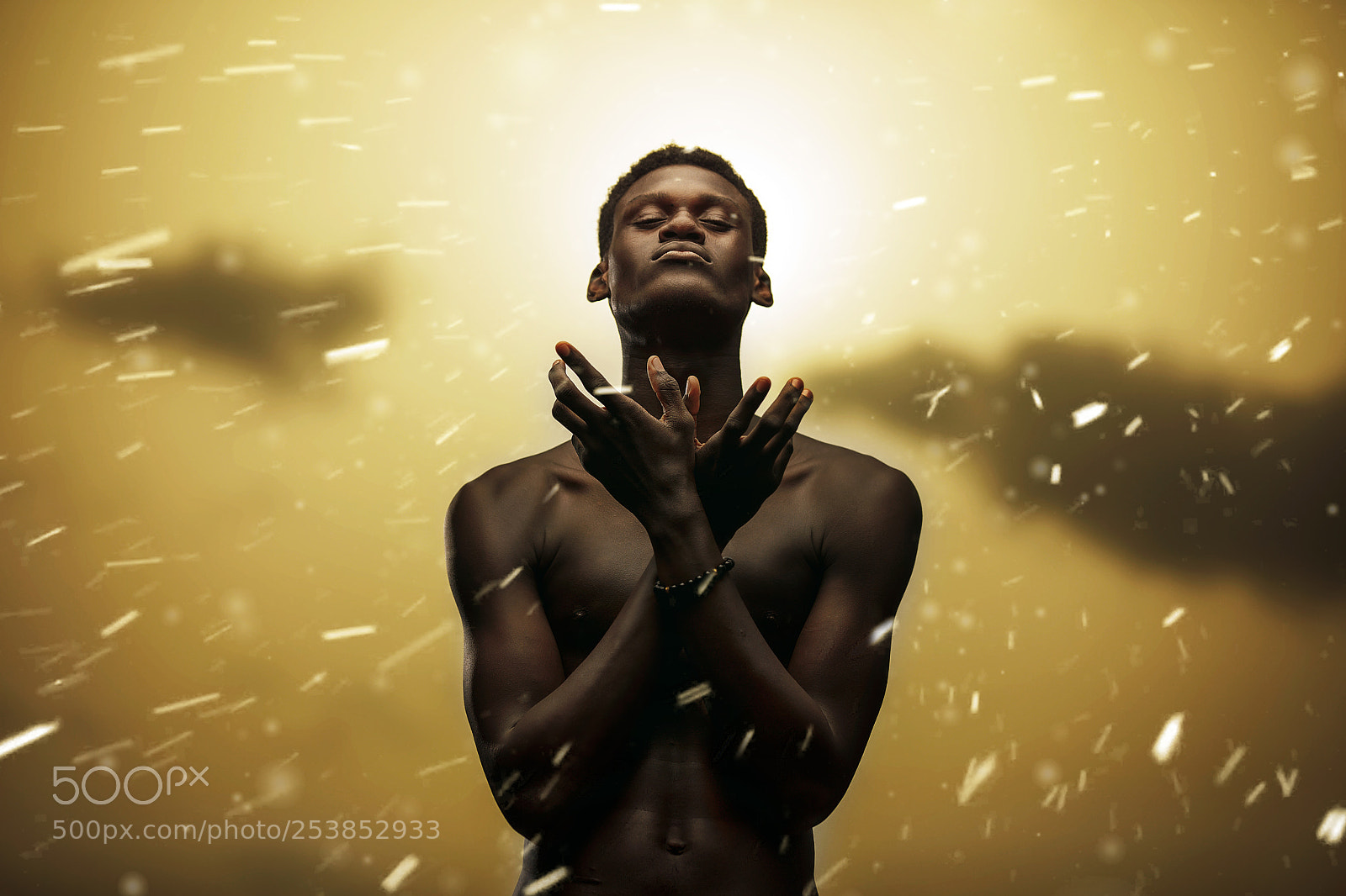 Canon EOS 5D Mark IV sample photo. Golden moment photography