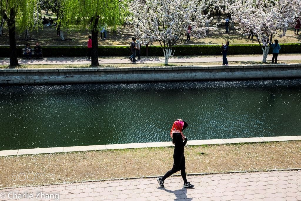 Canon EOS-1D X sample photo. Untitled photography