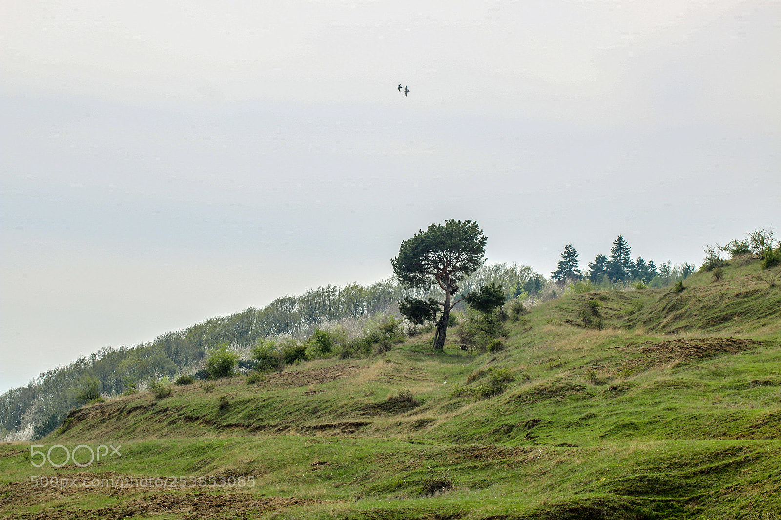 Canon EOS 70D sample photo. Untitled photography