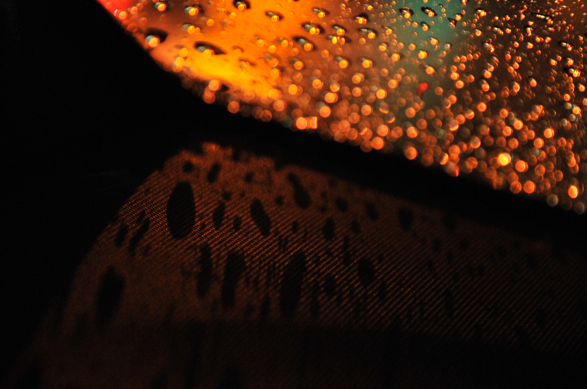 Nikon D3S sample photo. .. photography