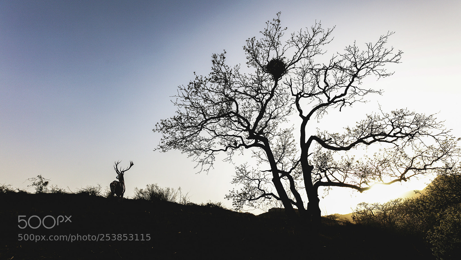 Canon EOS 5DS R sample photo. Sunset photography