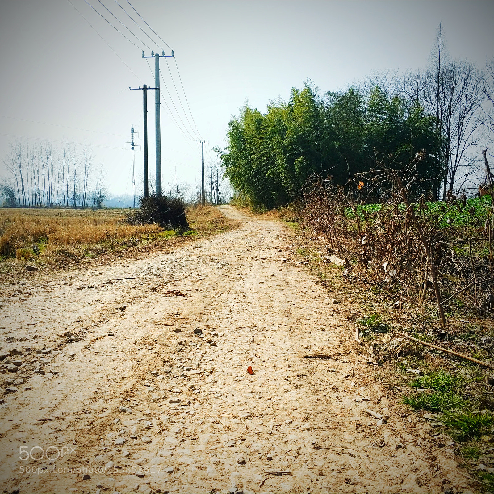 Xiaomi MI6 sample photo. Untitled photography