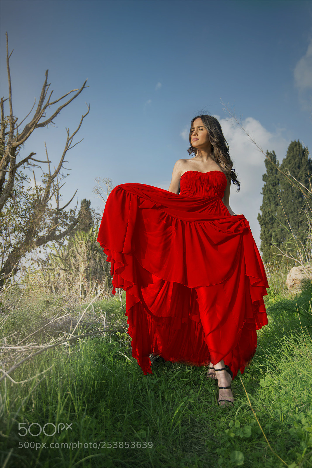 Nikon D610 sample photo. Red art photography