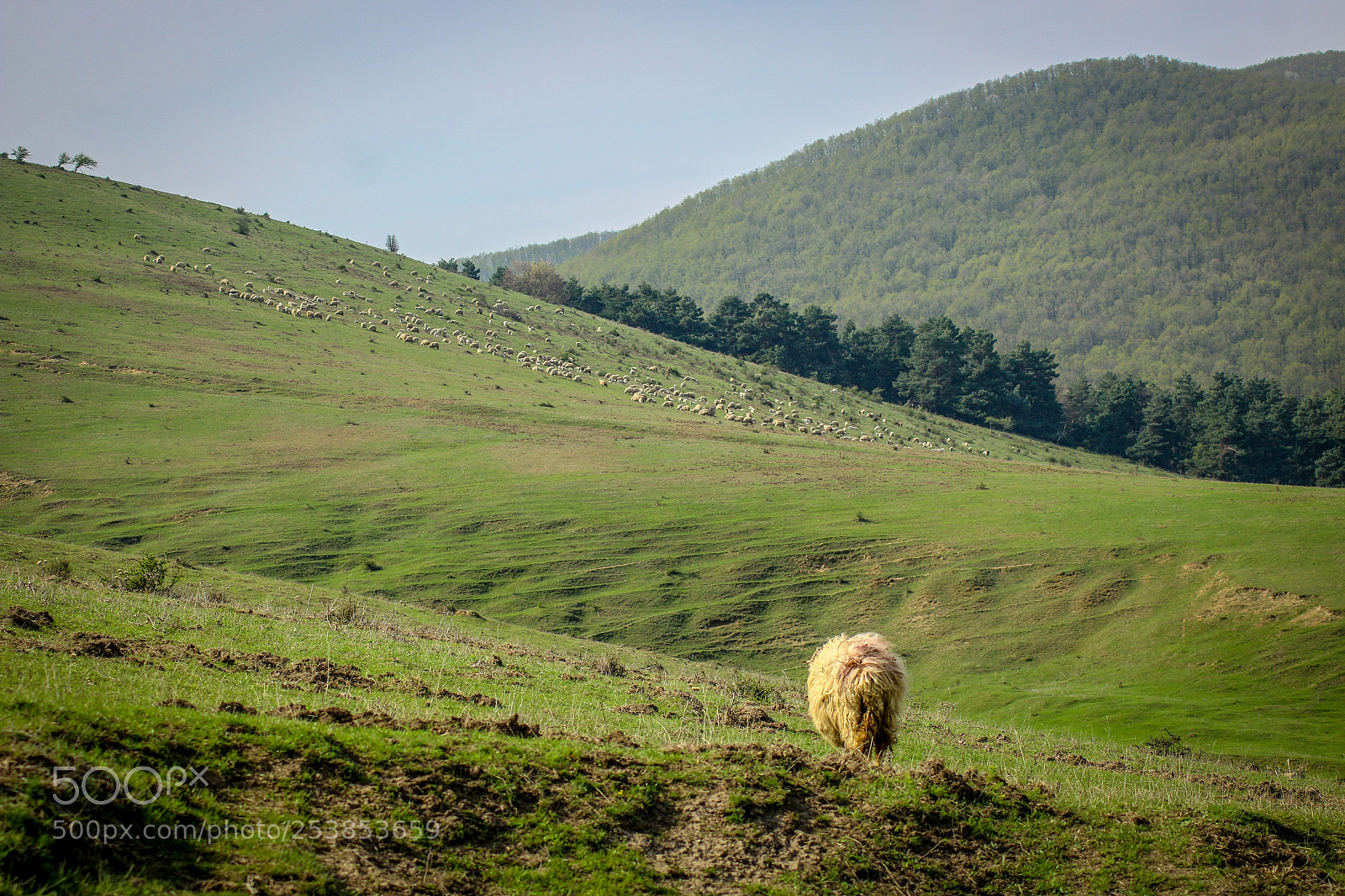Canon EOS 70D sample photo. Goin' home photography