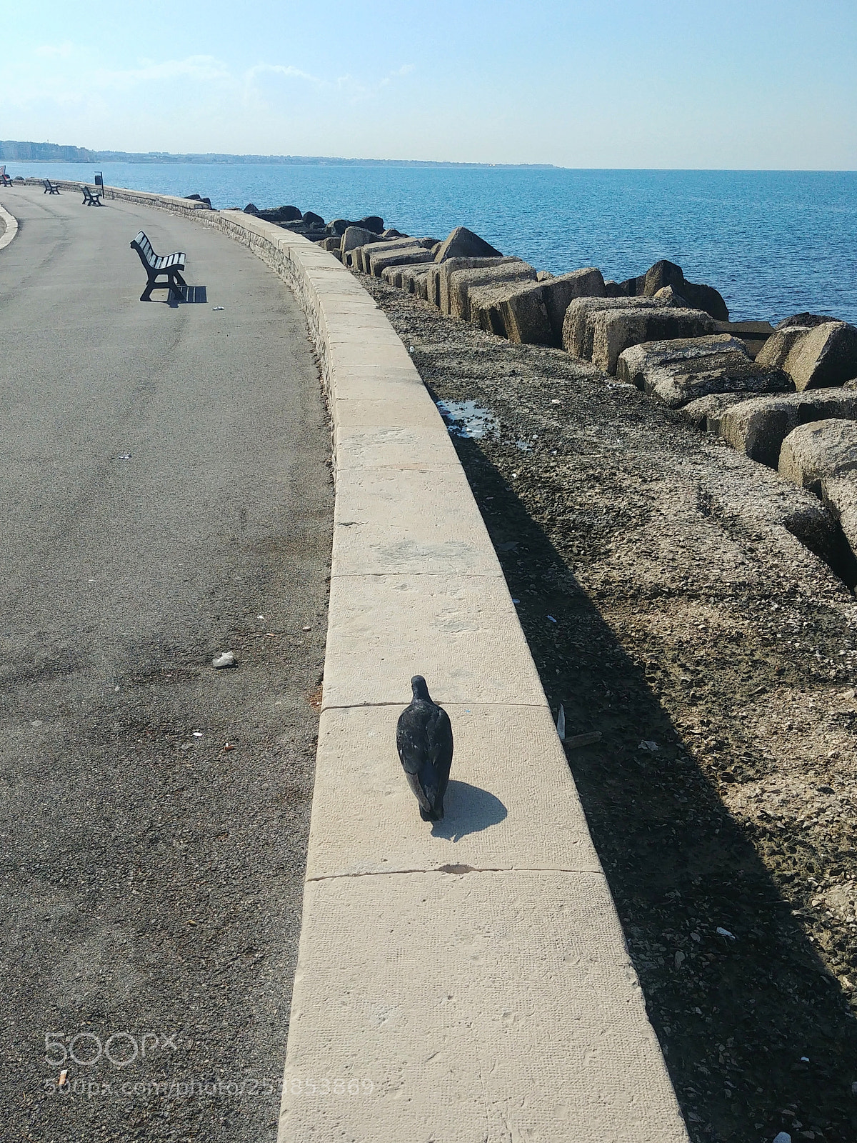 LG G6 sample photo. On your path. photography