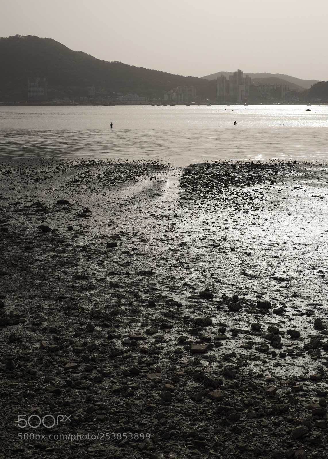 Nikon D810 sample photo. In a sea 2 photography