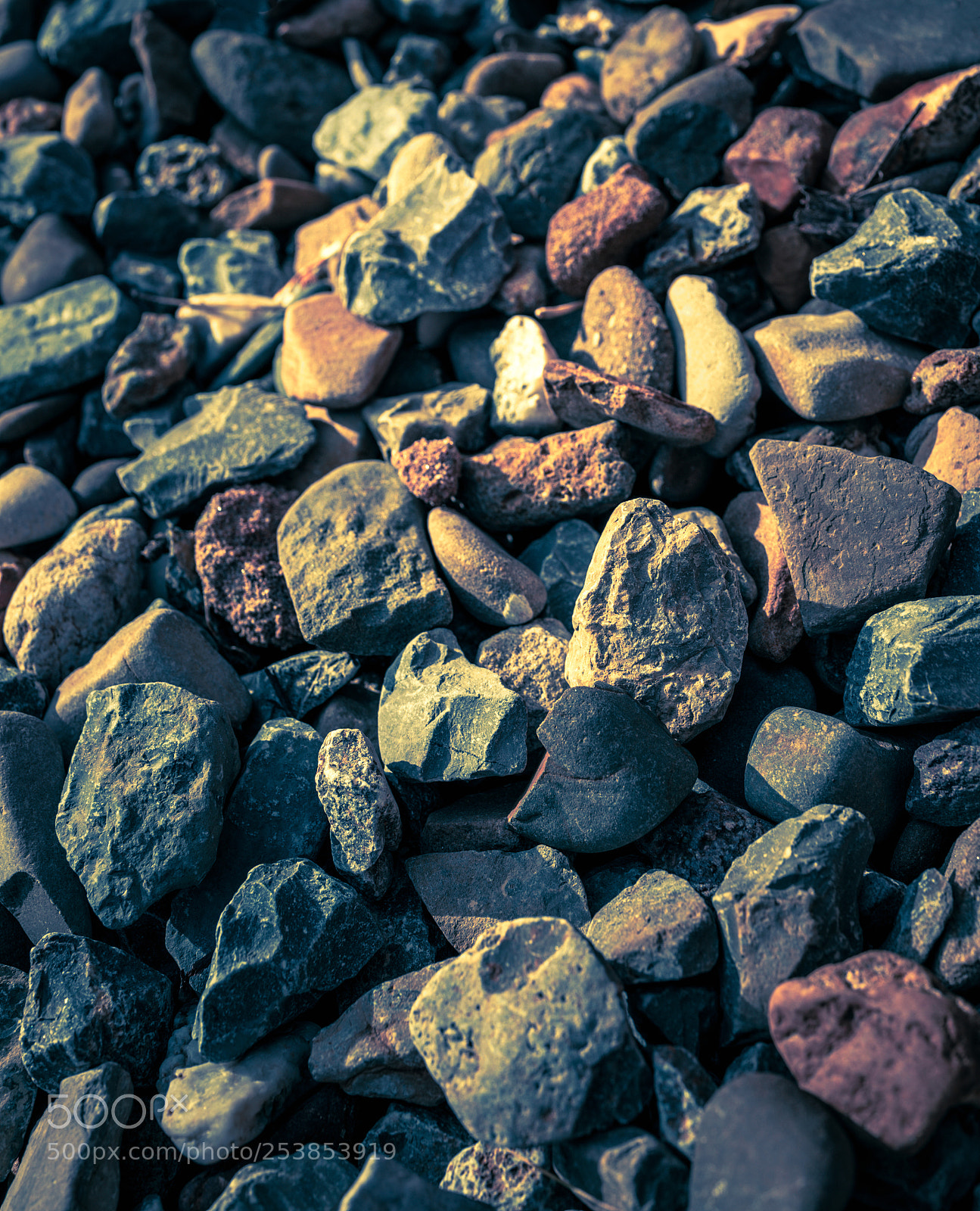 Sony Cyber-shot DSC-RX1 sample photo. Group of different pebble photography