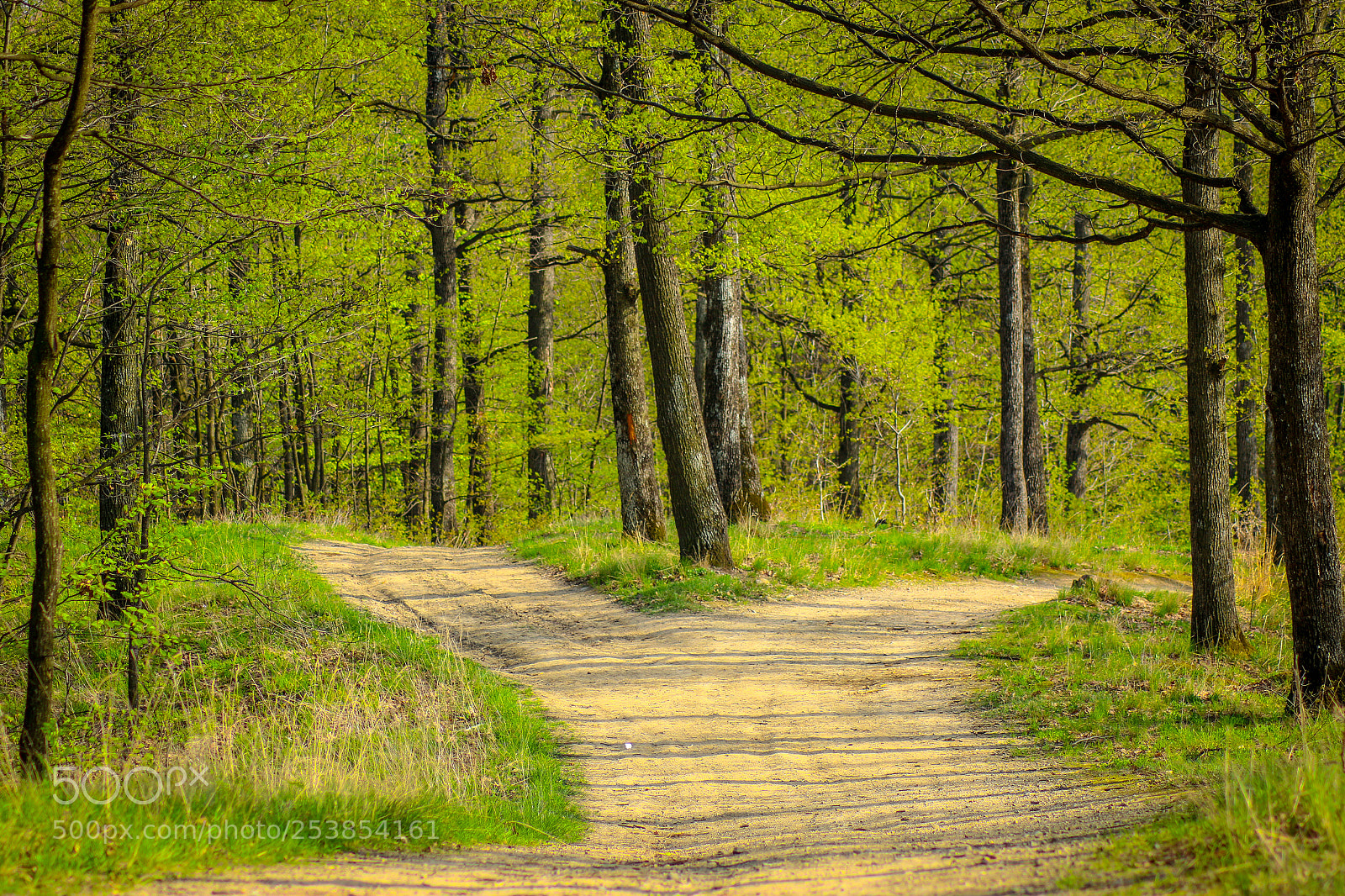 Canon EOS 70D sample photo. Untitled photography