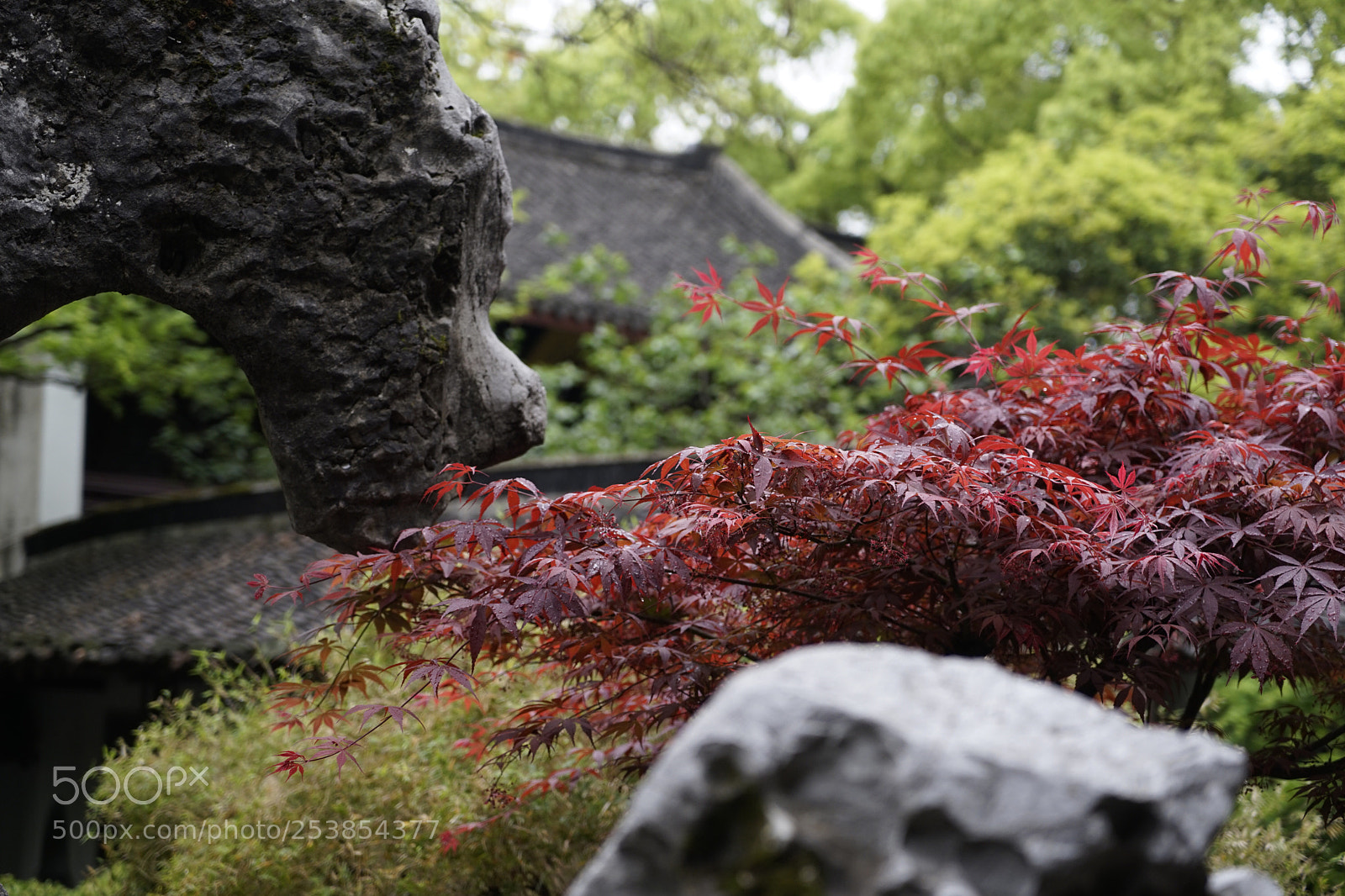Sony a7 II sample photo. Untitled photography